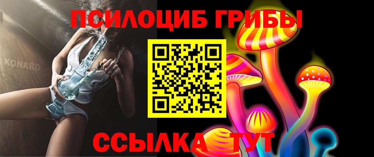 Галлюциногенные грибы Psilocybe Лесосибирск