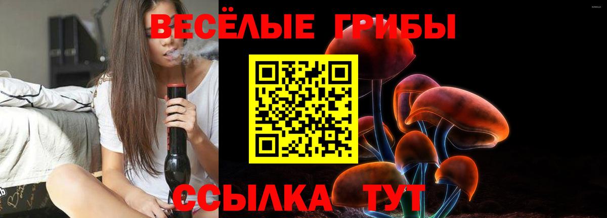 Галлюциногенные грибы прущие грибы  Псилоцибиновые грибы Psilocybine cubensis  Вход с VPN  Лесосибирск 